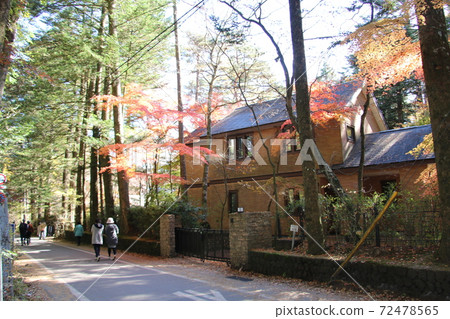 Karuizawa's villa with beautiful autumn colors 72478565