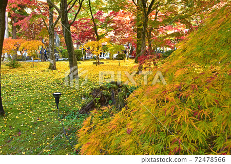 Autumn leaves in Kyoto Eikando 72478566