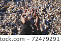 Close-up hands of a girl who collect seashells 72479291