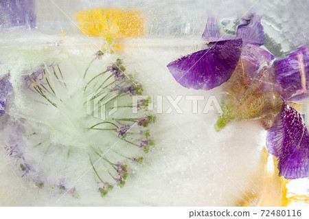 Frozen   flower of  iris 72480116