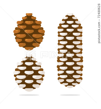 Fir and pine cones Christmas decoration set 72480628
