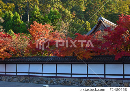 Autumn leaves in Kyoto Autumn leaves in Kyoto 72480668