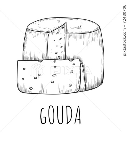 Gouda cheese dairy product sketch drawing isolated-插圖素材 