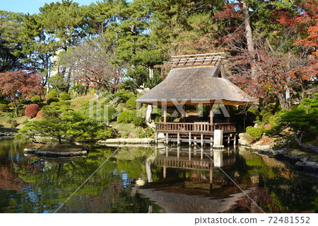 日本的四個季節-秋天的葉子- 日本的四個季節-秋天的葉子- 72481552