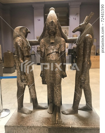 Remains 72481590