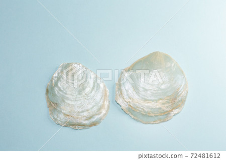 Materials used for miscellaneous goods, interiors, decorations, etc. Capiz shells and capiz shells Materials used for miscellaneous goods, interiors, decorations, etc. Capiz shells and capiz shells 72481612