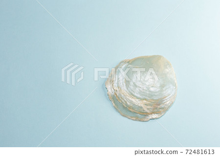 Materials used for miscellaneous goods, interiors, decorations, etc. Capiz shells and capiz shells Materials used for miscellaneous goods, interiors, decorations, etc. Capiz shells and capiz shells 72481613