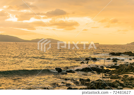 晨光 晨光 72481627