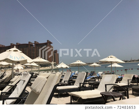 Beach Resort 72481653