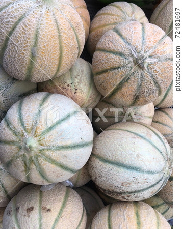 Farmers' market stall: heap of fresh cantaloupe melons 72481697