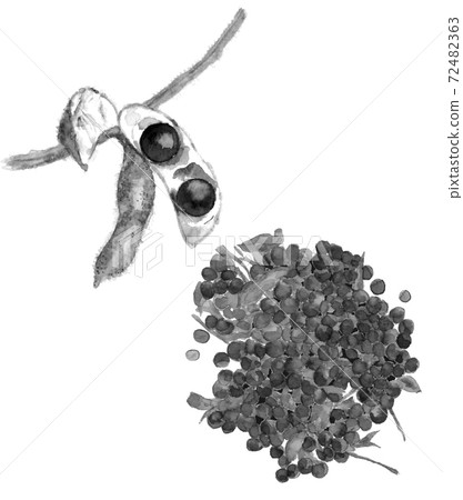 設置黑大豆脫脂前後的蔬菜材料單調[水墨風格水彩插圖] 72482363