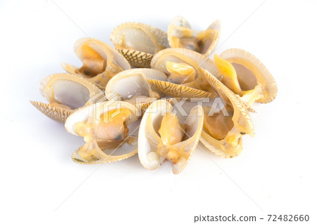 Top view of baby clam isolated ,short-necked clam,carpet clam or Venus shell. Top view of baby clam isolated ,short-necked clam,carpet clam or Venus shell. 72482660
