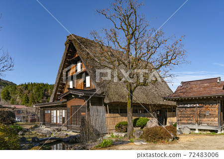 Shirakawago在秋天 72483006