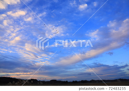 泉沼的早晨航班 72483235