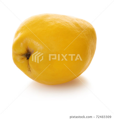 quince fruit on white isolated background quince fruit on white isolated background 72483309