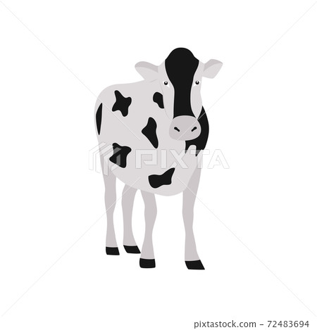 Vector isolated illustration of spotted black and white cow on farm Vector isolated illustration of spotted black and white cow on farm 72483694