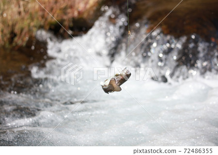 山間溪流釣魚圖片 72486355