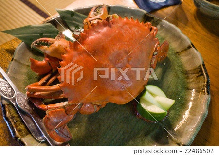 沖繩縣八重山島石垣島上的美食家Nokogirigasami 72486502