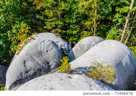 Elephant Rocks near Jitrava 72486879