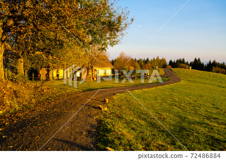 Autumn landscape and country road at sunset time Autumn landscape and country road at sunset time 72486884