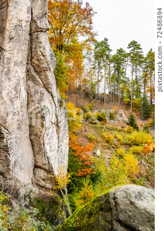Colorful autumn landscape and sandstone rocks Colorful autumn landscape and sandstone rocks 72486894