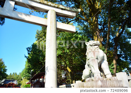 The majestic Chichibu Shrine 72489096
