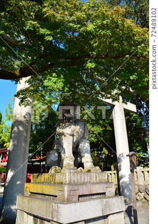 The majestic Chichibu Shrine 72489102
