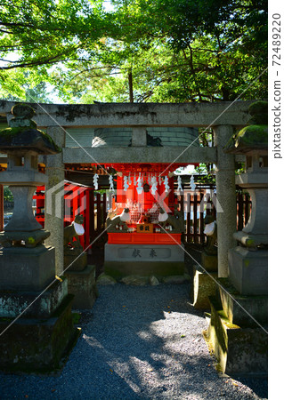 The majestic Chichibu Shrine 72489220