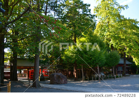 雄偉的秩父神社 雄偉的秩父神社 72489228