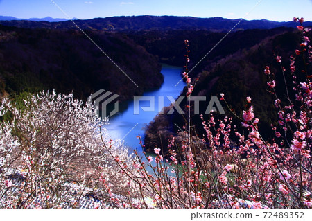 Tsukigase Umebayashi (Nara City, Nara Prefecture) View of Mt. Kuroso from Miharashi Observatory 72489352