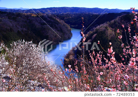 Tsukigase Umebayashi (Nara City, Nara Prefecture) View of Mt. Kuroso from Miharashi Observatory 72489353