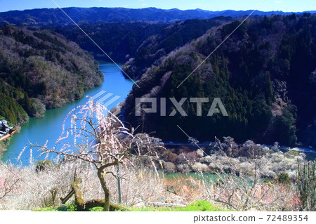 Tsukigase Umebayashi (Nara City, Nara Prefecture) View of Mt. Kuroso from Miharashi Observatory 72489354