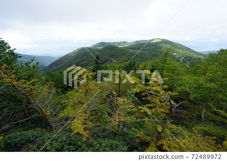 View the Ikehira Marsh from the middle of Mt. Kagonoto on the Takamine Kogen View the Ikehira Marsh from the middle of Mt. Kagonoto on the Takamine Kogen 72489972