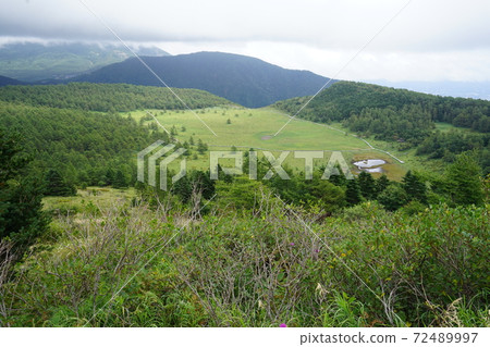 從人行道上的雲頂山廣場附近的沼澤地的景色 從人行道上的雲頂山廣場附近的沼澤地的景色 72489997