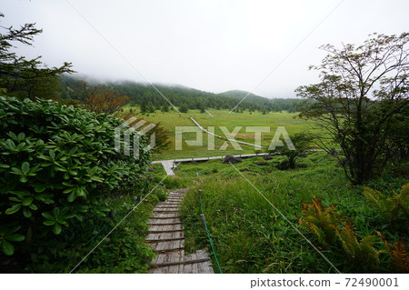 Yunomaru Kogen Pond Flat Wetland Yunomaru Kogen Pond Flat Wetland 72490001