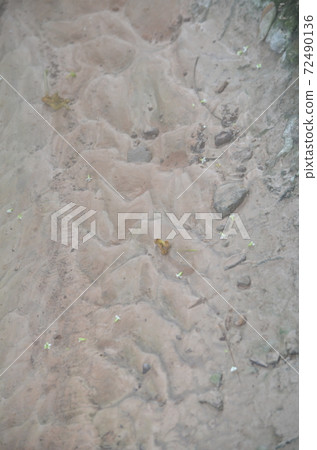 The cement floor has a pattern. The cement floor has a pattern. 72490136