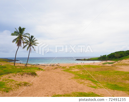 <Easter Island> Anakena's sandy beach (February) 72491235