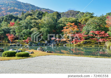 京都天龍寺秋葉莊池花園 72491558