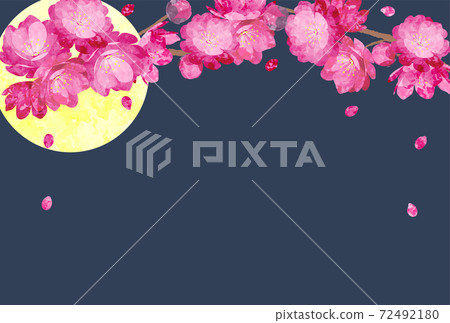 peach, flower, flowers 72492180