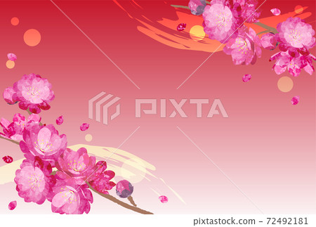 peach, flower, flowers 72492181