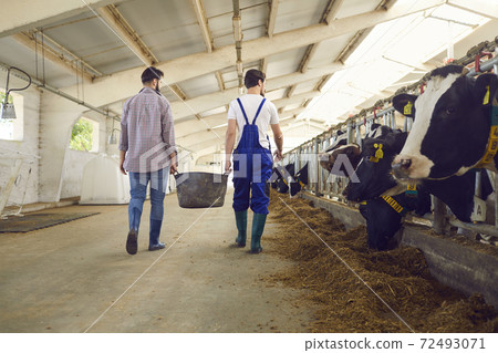 Man farmers or warm workers in uniform and rubber boots carrying bucket of hay 72493071