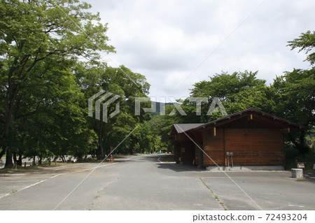 At Kinchakuda in early summer 2020 At Kinchakuda in early summer 2020 72493204