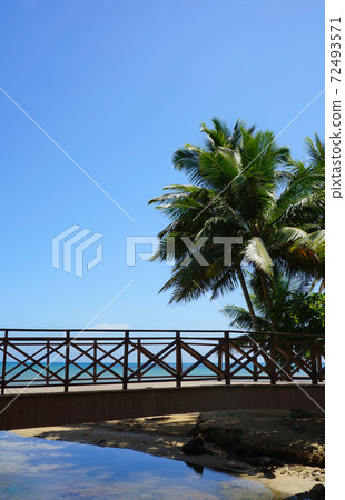 Beautiful tropical white sandy beach with bridge in Las Terrenas, Dominican Republic Beautiful tropical white sandy beach with bridge in Las Terrenas, Dominican Republic 72493571