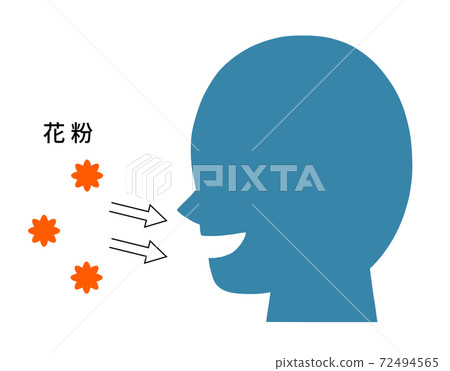 Onset of pollinosis / allergy mechanism 72494565