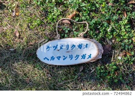 樹樁藝術標籤 樹樁藝術標籤 72494862