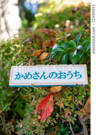 樹樁藝術標籤 72494953