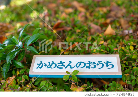 樹樁藝術標籤 72494955