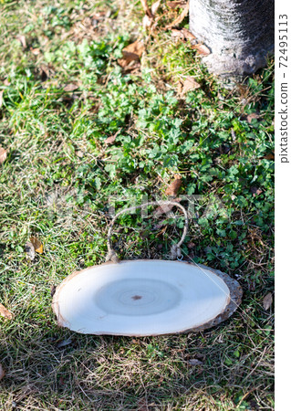Stump art tag 72495113