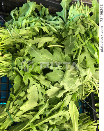 Farmers' market: heaps of fresh arugula Farmers' market: heaps of fresh arugula 72496268