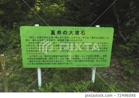 子宮城市的大波浪石 72496898